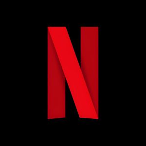 Netflix Subscription